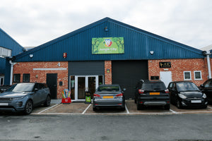 Jungle City Soft Play