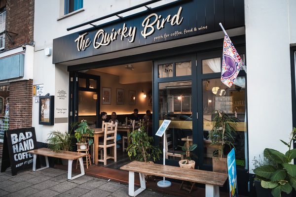 The Quirky Bird