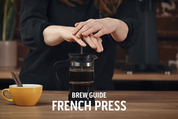 How To Brew With A French Press