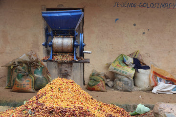 Why ethically sourced coffee is important
