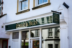 Forest and Bean
