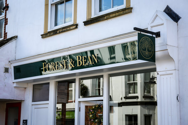 Forest and Bean
