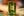 Old Green Glasses